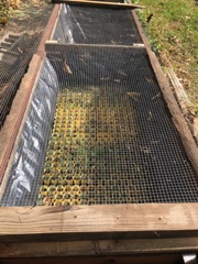 Modified Planter Box